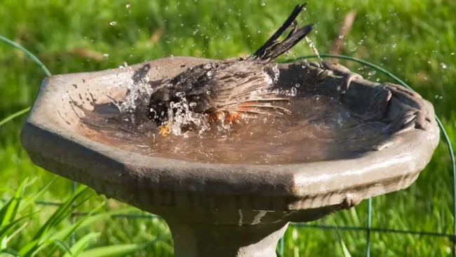 Featured image for How to Beat the Heat
